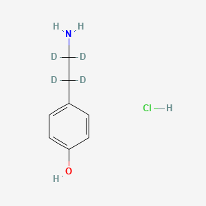 molecular formula C8H12ClNO B563129 对-酪胺-d4 盐酸盐 CAS No. 1189884-47-6