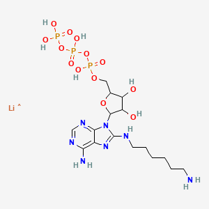 molecular formula C16H30LiN7O13P3 B563142 8-(6-AMINOHEXYL)AMINOADENOSINE5/'-TRIPHOS PHATE LITH CAS No. 102029-46-9