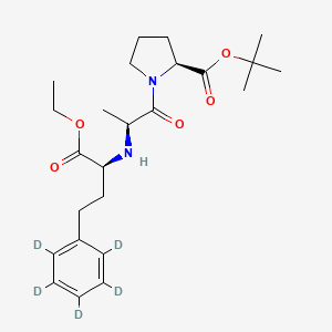 molecular formula C24H36N2O5 B563157 依那普利-d5 叔丁酸酯 CAS No. 1356837-84-7