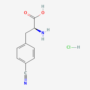 molecular formula C10H11ClN2O2 B563238 (S)-2-Amino-3-(4-cyanophenyl)propanoic acid hydrochloride CAS No. 104531-20-6