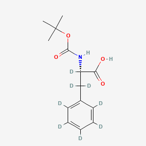 molecular formula C14H19NO4 B563412 L-苯基-D5-丙氨酸-2,3,3-D3-N-叔丁氧羰基 CAS No. 106881-07-6