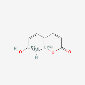 molecular formula C9H6O3 B563483 7-羟基香豆素-13C3 CAS No. 1189958-16-4