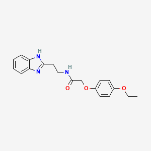 molecular formula C19H21N3O3 B5635592 N-[2-(1H-benzimidazol-2-yl)ethyl]-2-(4-ethoxyphenoxy)acetamide 