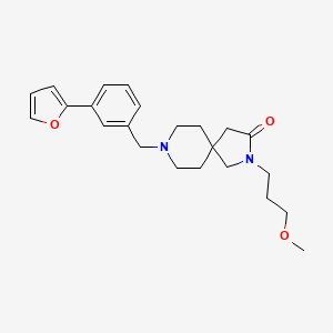 molecular formula C23H30N2O3 B5637021 8-[3-(2-furyl)benzyl]-2-(3-methoxypropyl)-2,8-diazaspiro[4.5]decan-3-one 