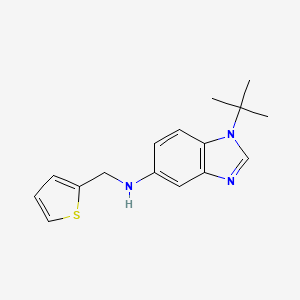 molecular formula C16H19N3S B5637113 1-tert-butyl-N-(2-thienylmethyl)-1H-benzimidazol-5-amine 
