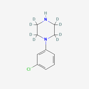 molecular formula C10H13ClN2 B563778 1-(3-氯苯基)哌嗪-d8 CAS No. 1189923-43-0