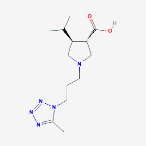 molecular formula C13H23N5O2 B5637851 (3S*,4S*)-4-isopropyl-1-[3-(5-methyl-1H-tetrazol-1-yl)propyl]-3-pyrrolidinecarboxylic acid 