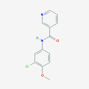 molecular formula C13H11ClN2O2 B5639158 N-(3-chloro-4-methoxyphenyl)nicotinamide 