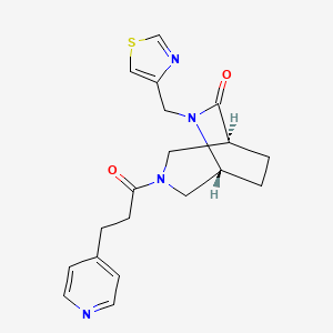 molecular formula C19H22N4O2S B5640836 (1S*,5R*)-3-(3-pyridin-4-ylpropanoyl)-6-(1,3-thiazol-4-ylmethyl)-3,6-diazabicyclo[3.2.2]nonan-7-one 