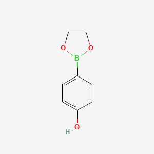 molecular formula C8H9BO3 B564109 4-(1,3,2-Dioxaborolan-2-yl)phenol CAS No. 108305-41-5