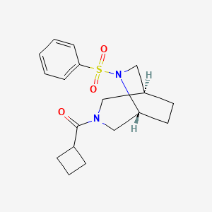molecular formula C18H24N2O3S B5641511 (1S*,5R*)-3-(cyclobutylcarbonyl)-6-(phenylsulfonyl)-3,6-diazabicyclo[3.2.2]nonane 