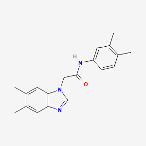 molecular formula C19H21N3O B5641554 2-(5,6-dimethyl-1H-benzimidazol-1-yl)-N-(3,4-dimethylphenyl)acetamide 