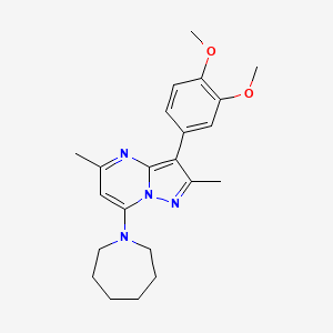 7-(1-azepanyl)-3-(3,4-dimethoxyphenyl)-2,5-dimethylpyrazolo[1,5-a]pyrimidine