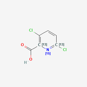 B564245 Clopyralid-13C2,15N CAS No. 1189959-68-9