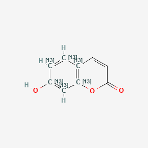 molecular formula C9H6O3 B564262 7-羟基香豆素-13C6 CAS No. 1189992-05-9
