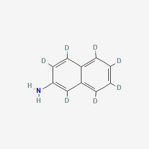 molecular formula C10H9N B564340 2-氨基萘-d7 CAS No. 93951-94-1