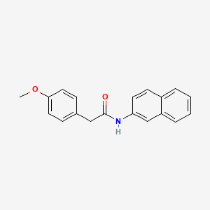 molecular formula C19H17NO2 B5643662 2-(4-methoxyphenyl)-N-2-naphthylacetamide 