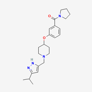 molecular formula C23H32N4O2 B5643997 1-[(5-isopropyl-1H-pyrazol-3-yl)methyl]-4-[3-(1-pyrrolidinylcarbonyl)phenoxy]piperidine 