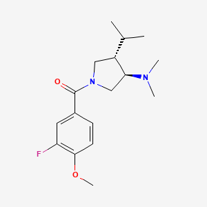 molecular formula C17H25FN2O2 B5644922 (3R*,4S*)-1-(3-fluoro-4-methoxybenzoyl)-4-isopropyl-N,N-dimethyl-3-pyrrolidinamine 