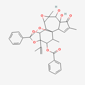 molecular formula C34H34O9 B564552 (6,7-Dihydroxy-4,8,18-trimethyl-5-oxo-14-phenyl-16-prop-1-en-2-yl-9,13,15,19-tetraoxahexacyclo[12.4.1.01,11.02,6.08,10.012,16]nonadec-3-en-17-yl) benzoate CAS No. 1236874-00-2