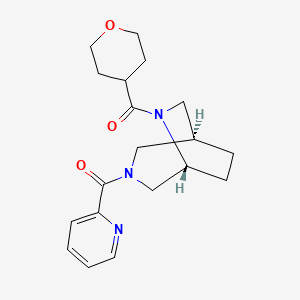 molecular formula C19H25N3O3 B5645712 (1S*,5R*)-3-(2-pyridinylcarbonyl)-6-(tetrahydro-2H-pyran-4-ylcarbonyl)-3,6-diazabicyclo[3.2.2]nonane 