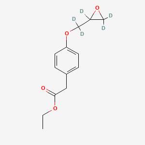 molecular formula C13H16O4 B564589 4-(2-Oxiranylmethoxy-d5)benzeneacetic Acid Ethyl Ester CAS No. 1189858-70-5