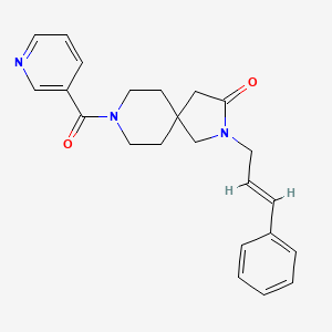 molecular formula C23H25N3O2 B5646284 2-[(2E)-3-phenylprop-2-en-1-yl]-8-(pyridin-3-ylcarbonyl)-2,8-diazaspiro[4.5]decan-3-one 