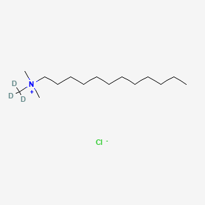 molecular formula C15H34ClN B564699 十二烷基三甲基氯化铵-d3 CAS No. 1219337-20-8