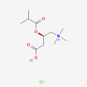 molecular formula C11H22ClNO4 B564712 Isobutyryl L-Carnitine Chloride CAS No. 6920-31-6