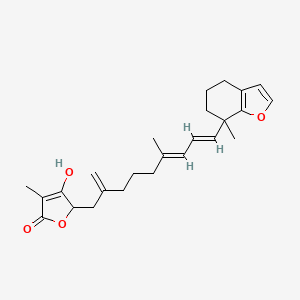 molecular formula C25H32O4 B564741 Hippospongin CAS No. 103538-55-2
