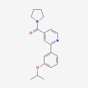 molecular formula C19H22N2O2 B5647437 2-(3-isopropoxyphenyl)-4-(pyrrolidin-1-ylcarbonyl)pyridine 