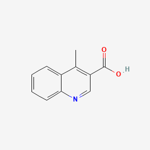 molecular formula C11H9NO2 B564766 4-甲基喹啉-3-羧酸 CAS No. 103907-10-4