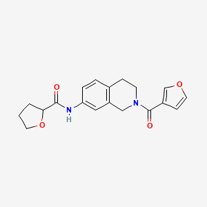 molecular formula C19H20N2O4 B5647919 N-[2-(3-furoyl)-1,2,3,4-tetrahydroisoquinolin-7-yl]tetrahydrofuran-2-carboxamide 