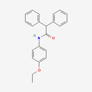 molecular formula C22H21NO2 B5648022 N-(4-ethoxyphenyl)-2,2-diphenylacetamide CAS No. 23105-48-8