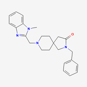 molecular formula C24H28N4O B5648078 2-benzyl-8-[(1-methyl-1H-benzimidazol-2-yl)methyl]-2,8-diazaspiro[4.5]decan-3-one 