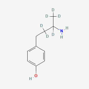 molecular formula C10H15NO B564819 rac 4-(3-氨基丁基)苯酚-d6 CAS No. 1189890-45-6