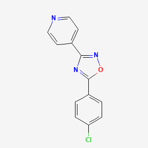 molecular formula C13H8ClN3O B5648319 4-[5-(4-chlorophenyl)-1,2,4-oxadiazol-3-yl]pyridine 