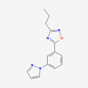 molecular formula C14H14N4O B5648350 3-propyl-5-[3-(1H-pyrazol-1-yl)phenyl]-1,2,4-oxadiazole 