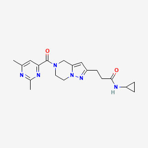 molecular formula C19H24N6O2 B5648435 N-cyclopropyl-3-{5-[(2,6-dimethyl-4-pyrimidinyl)carbonyl]-4,5,6,7-tetrahydropyrazolo[1,5-a]pyrazin-2-yl}propanamide 