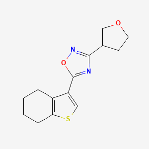 molecular formula C14H16N2O2S B5648885 5-(4,5,6,7-tetrahydro-1-benzothien-3-yl)-3-(tetrahydrofuran-3-yl)-1,2,4-oxadiazole 
