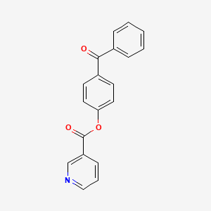 molecular formula C19H13NO3 B5649191 4-benzoylphenyl nicotinate 