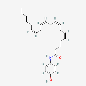 molecular formula C26H37NO2 B564947 AM 404-d4 CAS No. 1185244-71-6