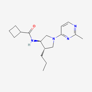 molecular formula C17H26N4O B5650104 N-[rel-(3R,4S)-1-(2-methyl-4-pyrimidinyl)-4-propyl-3-pyrrolidinyl]cyclobutanecarboxamide hydrochloride 