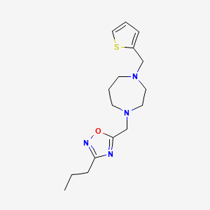 molecular formula C16H24N4OS B5650464 1-[(3-propyl-1,2,4-oxadiazol-5-yl)methyl]-4-(2-thienylmethyl)-1,4-diazepane 