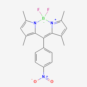 molecular formula C19H18BF2N3O2 B565145 8-(4-硝基苯基)联苯并噁嗪 CAS No. 321895-92-5