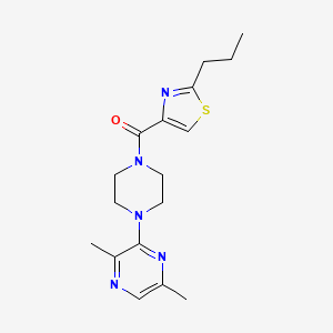 molecular formula C17H23N5OS B5651925 2,5-dimethyl-3-{4-[(2-propyl-1,3-thiazol-4-yl)carbonyl]-1-piperazinyl}pyrazine 