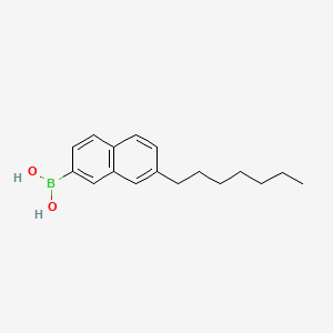 molecular formula C17H23BO2 B565210 (7-Heptylnaphthalen-2-yl)boronic acid CAS No. 1259317-50-4