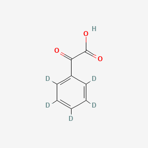 molecular formula C8H6O3 B565220 Phenylglyoxylic Acid-d5 CAS No. 1217089-53-6