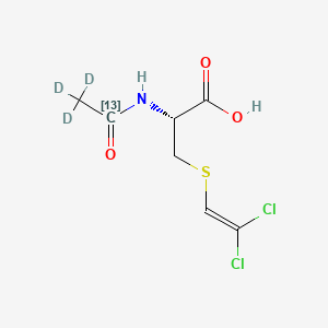 molecular formula C7H9Cl2NO3S B565298 N-乙酰-S-(2,2-二氯乙烯基)-L-半胱氨酸-13C,d3 CAS No. 1795787-09-5