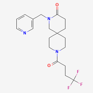 molecular formula C19H24F3N3O2 B5653024 2-(pyridin-3-ylmethyl)-9-(4,4,4-trifluorobutanoyl)-2,9-diazaspiro[5.5]undecan-3-one 